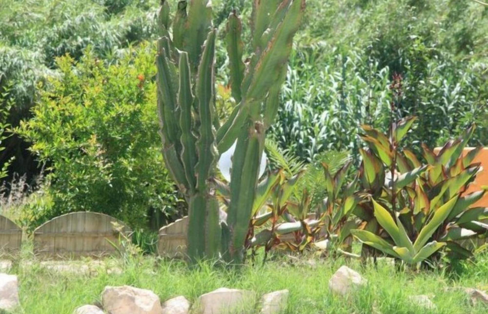 Villa El Minero Gonnesa Exterior foto